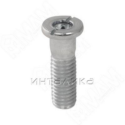 Винт крепежный для ножки серии 1004