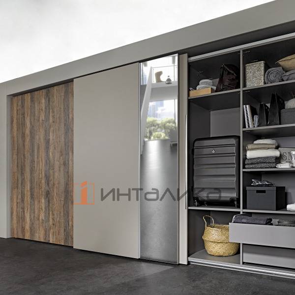 TLXL1