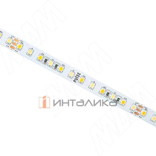 LS24-2835-CCT-19.2