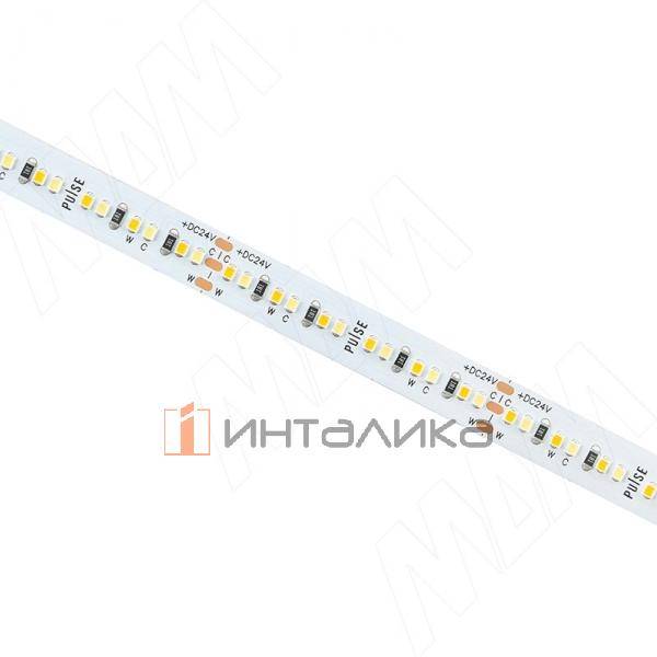 LS24-2216-CCT-19.2