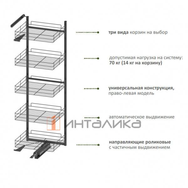 WE31.0081.01.001