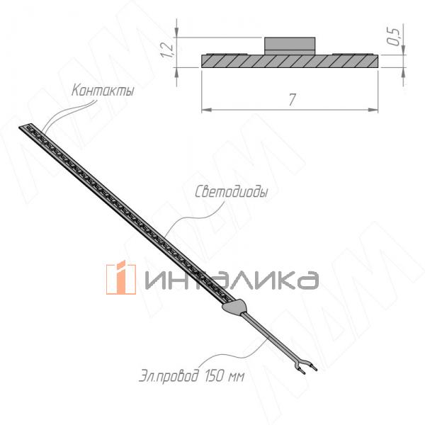 LS24-2219-NW-FC-12
