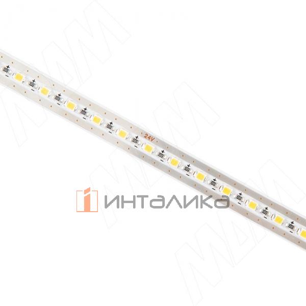 LS24-2219-CW-FC-12