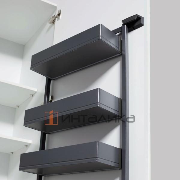 0036029846