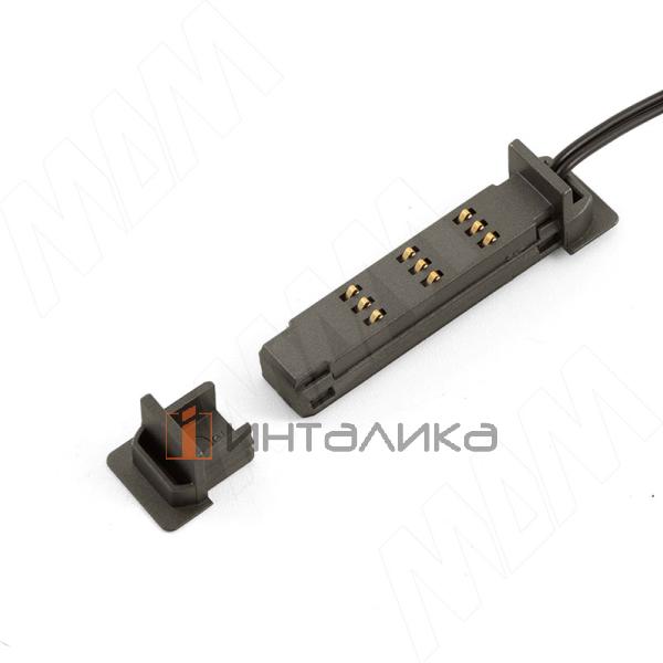 TK24-CON-END-MS-AN